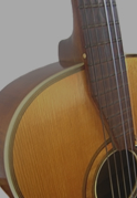 New & Used Guitars - Sounds Great Music
